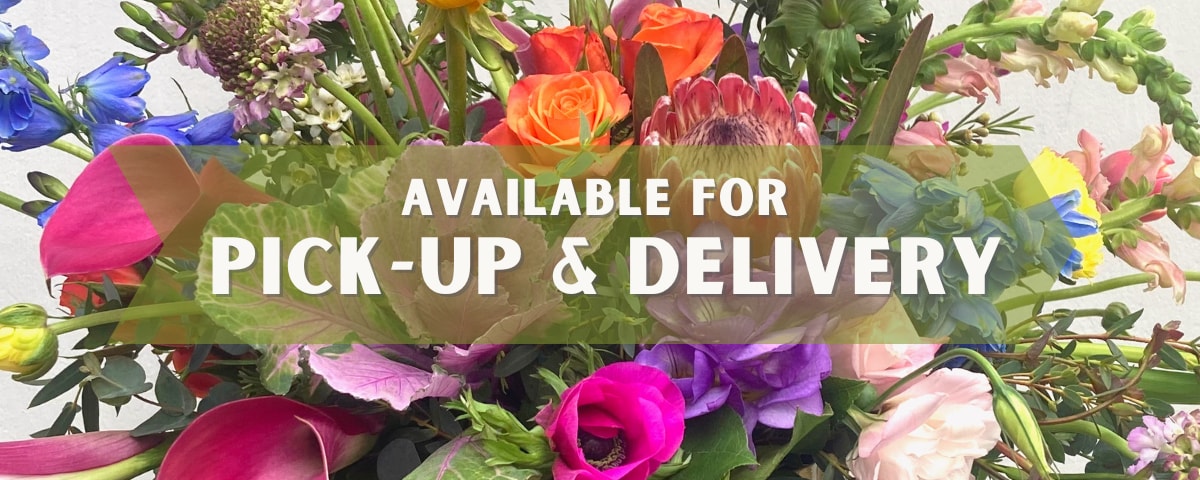 Safe Delivery, Learn More >